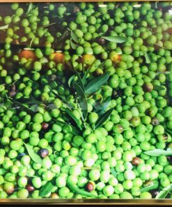 Organic Extra Virgin Olive Oil