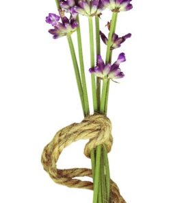 Lavender Balsamic