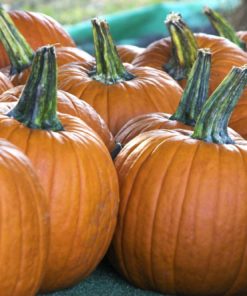 Pumpkin Spice Balsamic