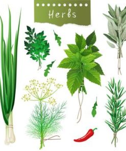Herbs De Provence