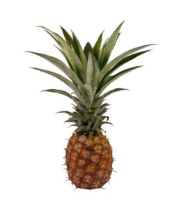 Pineapple Balsamic